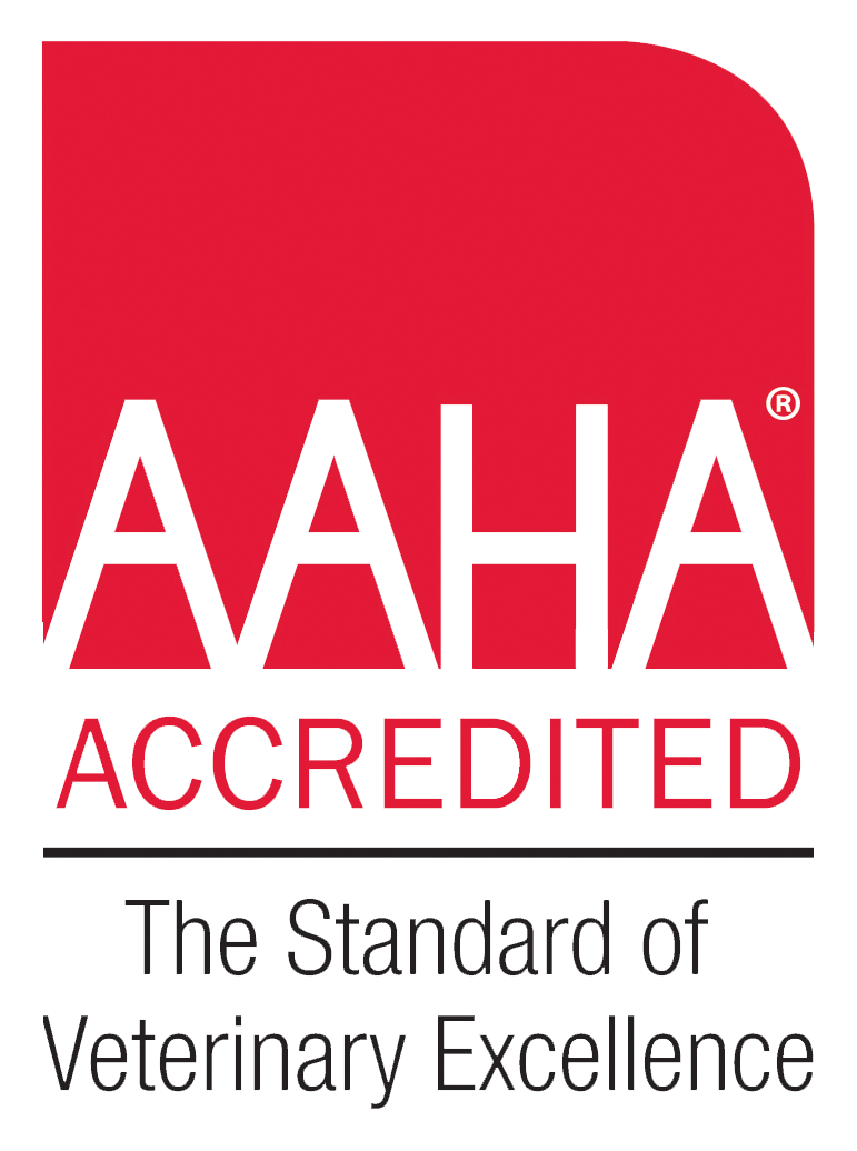 AAHA accredited veterinary hospital